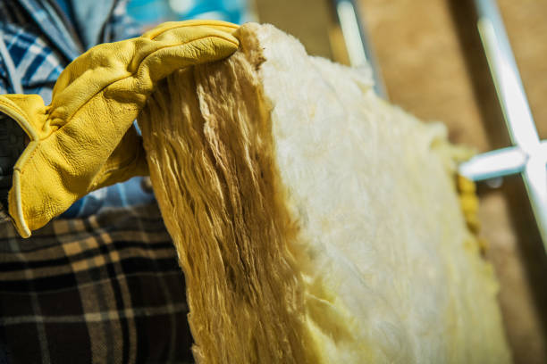 Best Insulation Maintenance and Repair in Ganado, TX
