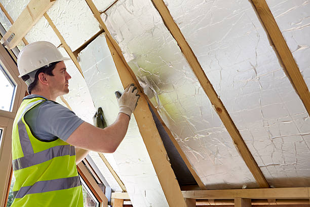 Best Residential Insulation in Ganado, TX