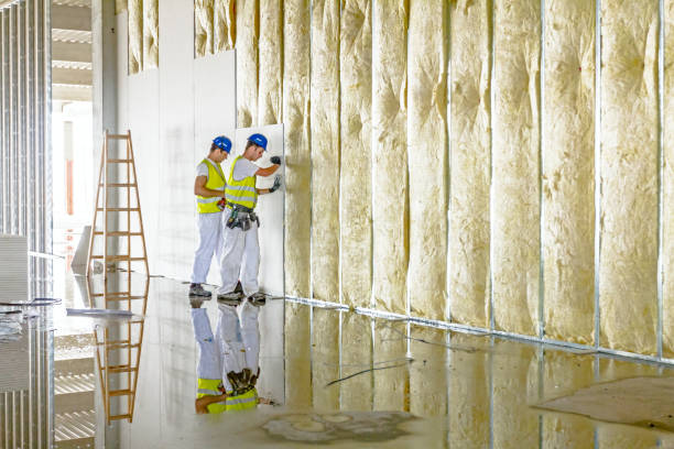 Best Eco-Friendly Insulation in Ganado, TX